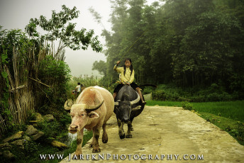 On way home from work - 2013 - Sa Pa, Vietnam